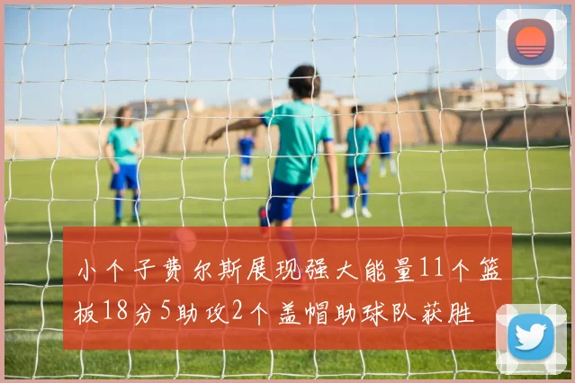 小个子费尔斯展现强大能量11个篮板18分5助攻2个盖帽助球队获胜