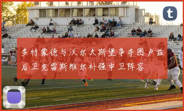 多特蒙德与沃尔夫斯堡争夺图卢兹后卫克雷斯维尔补强中卫阵容