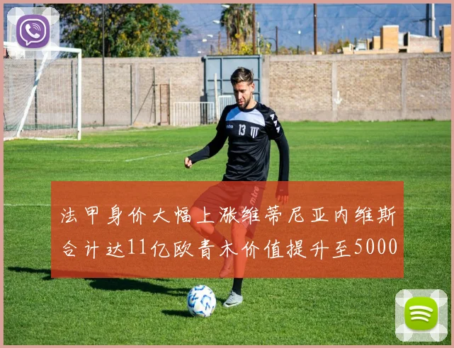 法甲身价大幅上涨维蒂尼亚内维斯合计达11亿欧青木价值提升至5000万