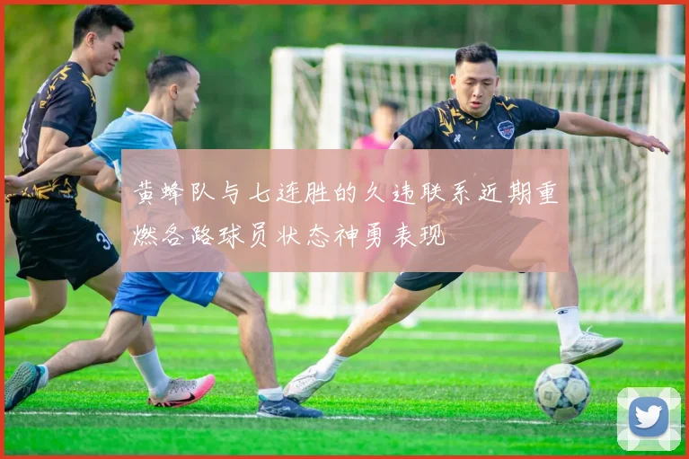 黄蜂队与七连胜的久违联系近期重燃各路球员状态神勇表现