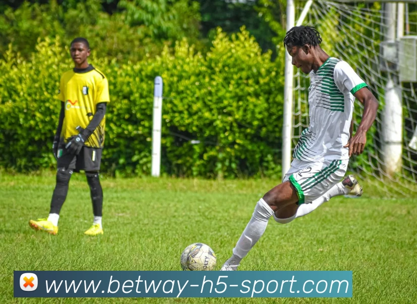 必威体育发展历程